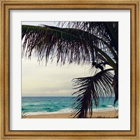 Palm and Beach Fine Art Print