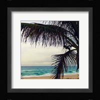 Palm and Beach Fine Art Print