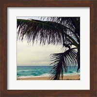 Palm and Beach Fine Art Print