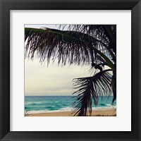 Palm and Beach Fine Art Print
