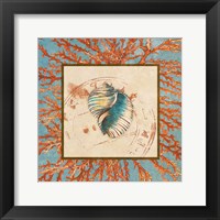 Coral Medley Shell I Fine Art Print