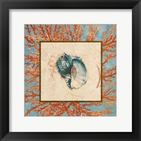 Coral Medley Shell II Fine Art Print