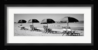 Beach Reunion Fine Art Print
