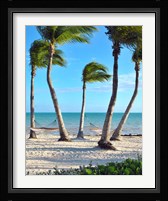 Shoreside Retreat Fine Art Print