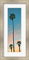 Sunset Palms Fine Art Print