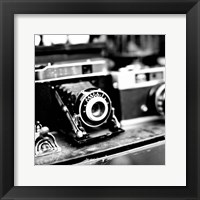 Rare Finds I Fine Art Print