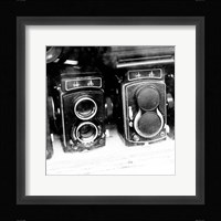 Rare Finds II Fine Art Print