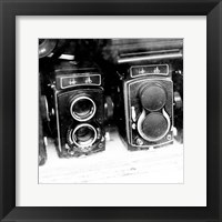 Rare Finds II Fine Art Print