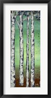Tall Trees II Fine Art Print