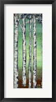 Tall Trees II Framed Print