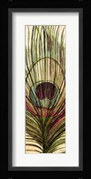 Peacock Feather I Fine Art Print