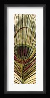 Peacock Feather II Fine Art Print