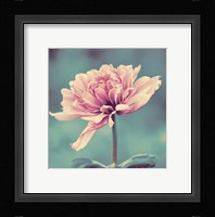 Gorgeous Pink Fine Art Print