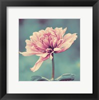 Gorgeous Pink Fine Art Print
