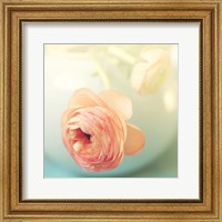 Vintage Peony II Fine Art Print