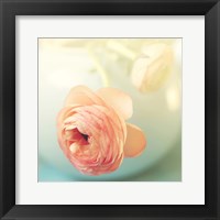 Vintage Peony II Fine Art Print