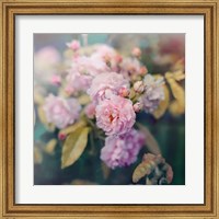 Season of Blossoms Fine Art Print