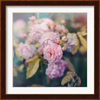 Season of Blossoms Fine Art Print
