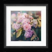 Season of Blossoms Fine Art Print