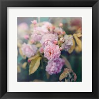 Season of Blossoms Fine Art Print