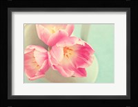Resplendent Blossoms II Fine Art Print