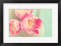 Resplendent Blossoms II Fine Art Print