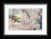A Branch of Beauty Fine Art Print