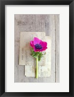 Love Note Fine Art Print