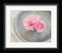 A Captivating Pair Fine Art Print