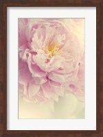 Angelic Petals Fine Art Print