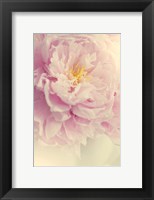 Angelic Petals Fine Art Print