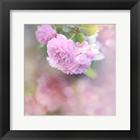 Graceful Floral Fine Art Print