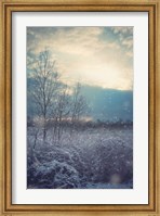 A Winter's Day Fine Art Print