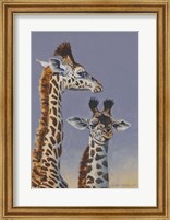 Two Young Giraffes Fine Art Print
