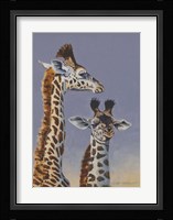 Two Young Giraffes Fine Art Print