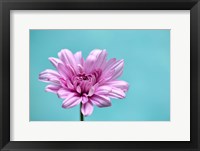 Surrounded in Blue Fine Art Print