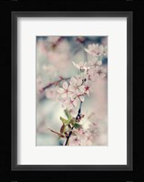A Branch of Beauty Vertical Fine Art Print
