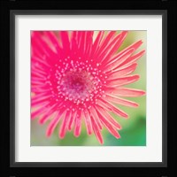 Pink Fun I Framed Print