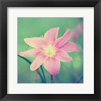 Alone in the Field Fine Art Print