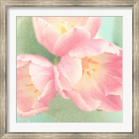 Resplendent Blossoms I Fine Art Print