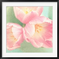 Resplendent Blossoms I Fine Art Print