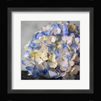 Hydrangeas I Fine Art Print