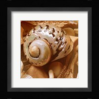 By the Seashore Square II Fine Art Print