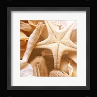 By the Seashore Square I Fine Art Print