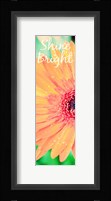 Shine Bright Daisy Fine Art Print