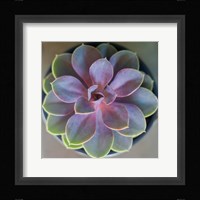 Close to Nature Fine Art Print