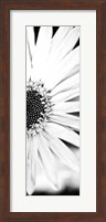 White Bloom I Fine Art Print