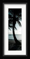 Cool Bimini Palm II Fine Art Print
