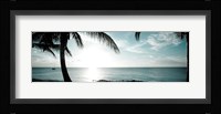 Cool Bimini II Fine Art Print