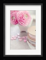 Softy Elegant I Framed Print